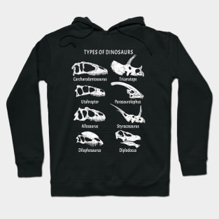 Types of Dinosaurs Table for Kids Hoodie